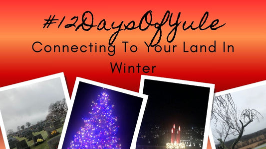 Local Ancestral Lands on a Rainy Winter's Day #12daysofyule