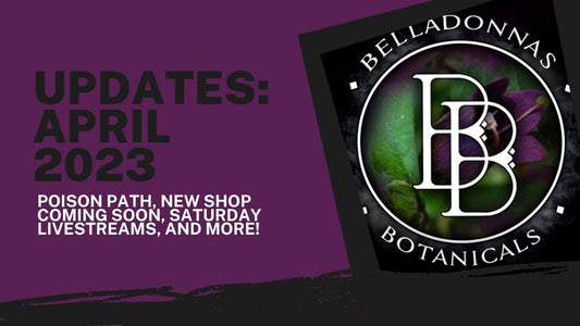 BB April Updates: Poison Path, New Shop Coming Soon, Saturday Livestreams, and More!