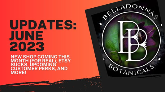 BB Updates for June 2023: New Shop Coming Soon, Etsy Sucks, More!