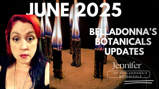 BB Updates June 2025: It's My Birthday Month Update