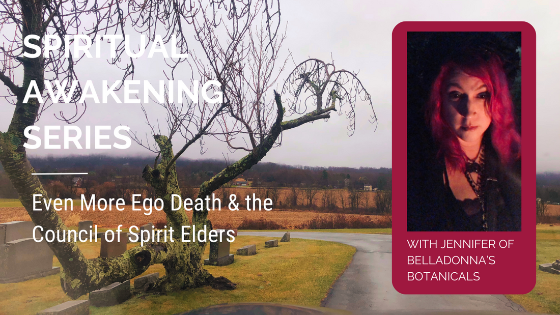Spiritual Awakening Series: Even More Ego Death & the Council of Spirit Elders