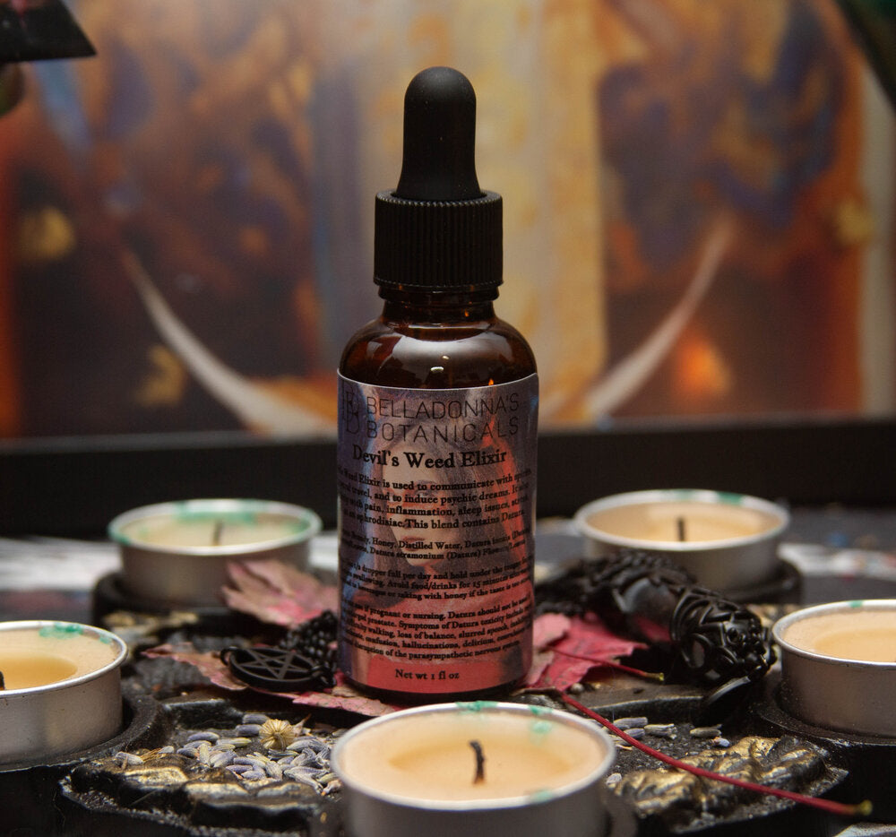 Devils Weed Tincture/Elixir