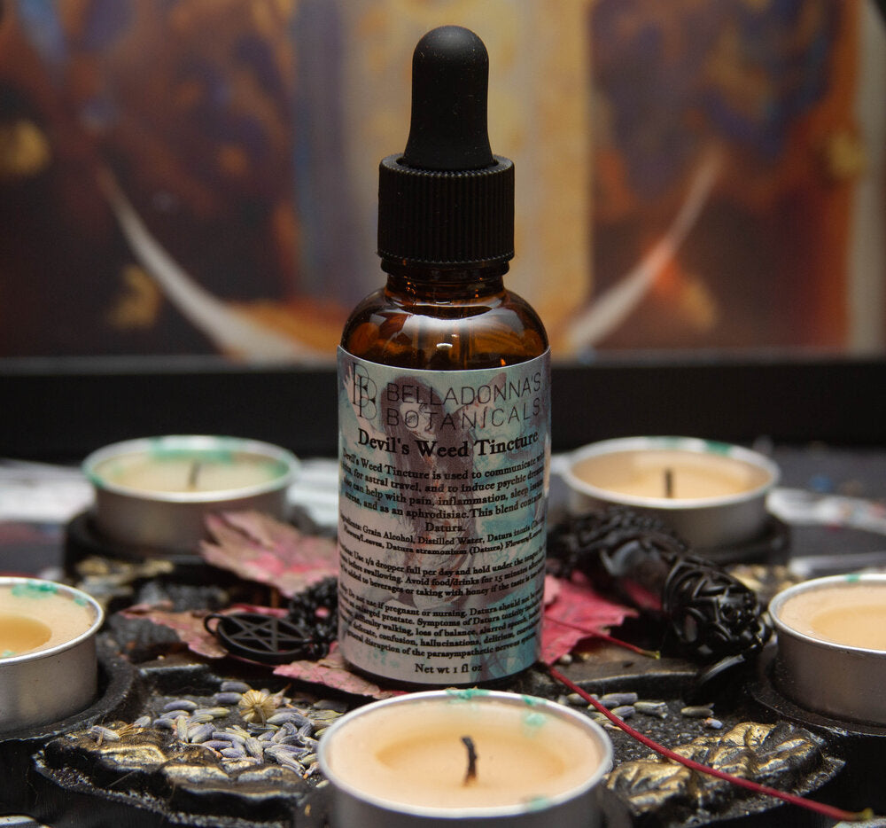 Devils Weed Tincture/Elixir