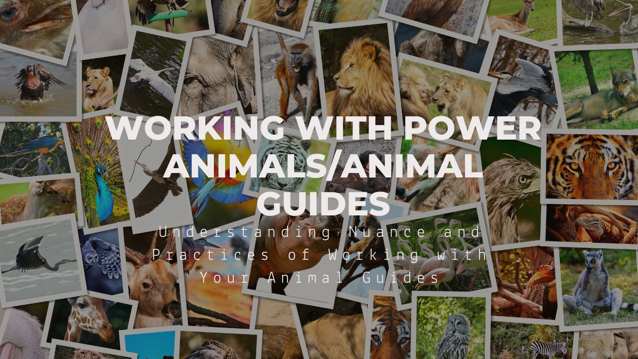 Working with Power Animals/Animal Guides: Understanding Nuance and Pra ...