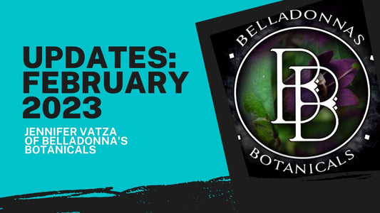 Updates February 2023: Poison Path Updates, Restocks, and more