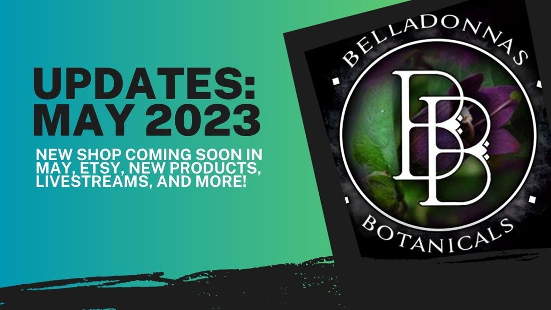 BB Updates for May 2023: New Shop Coming Soon, Etsy, New Products, Livestreams, and More!