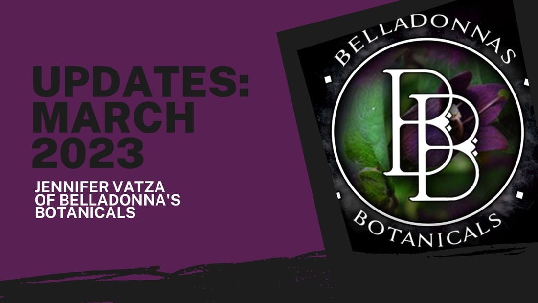 March Updates: Poison Path Updates, New Projects, and more!