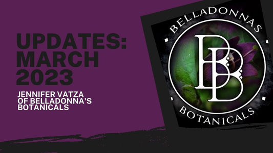 March Updates: Poison Path Updates, New Projects, and more!