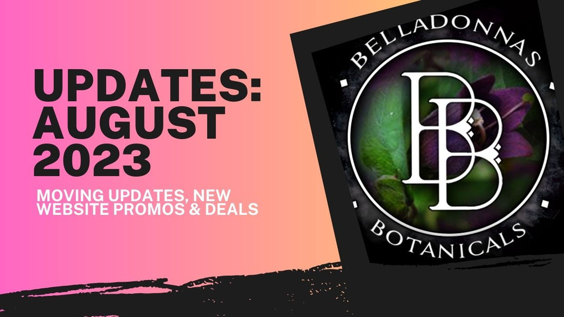BB Updates August 2023: Website Sales & Perks + Moving Updates