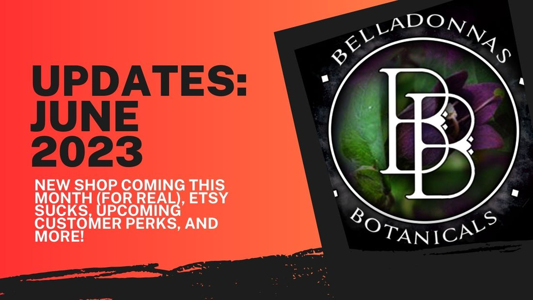 BB Updates for June 2023: New Shop Coming Soon, Etsy Sucks, More!