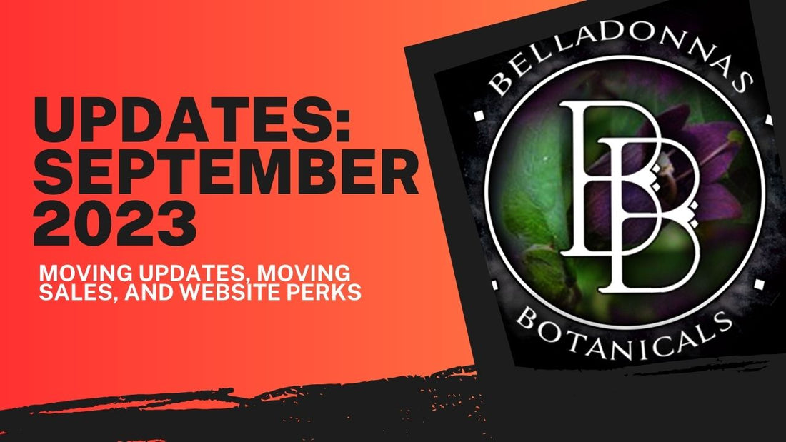 BB Updates: September 2023: Moving Updates, Moving Sales, and Website Perks