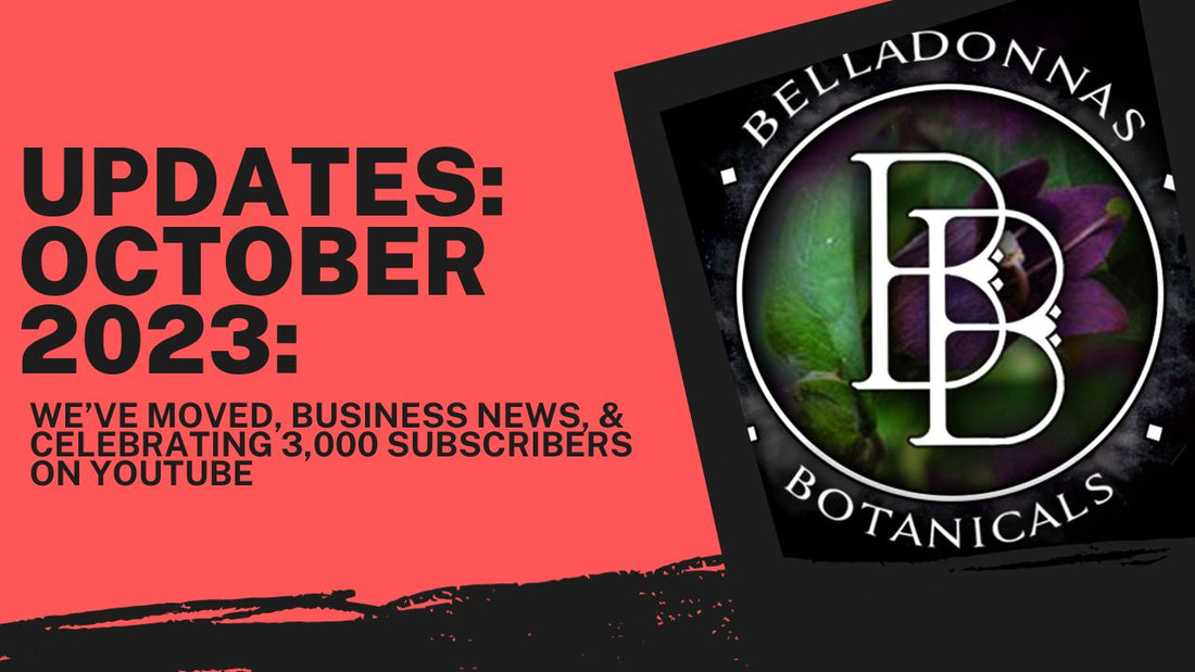 BB Updates: October 2023 We've Moved and Other Exciting Things