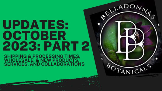 BB Updates: October 2023 Part Two: Shipping & Processing Times, Wholesale, and New Collabs