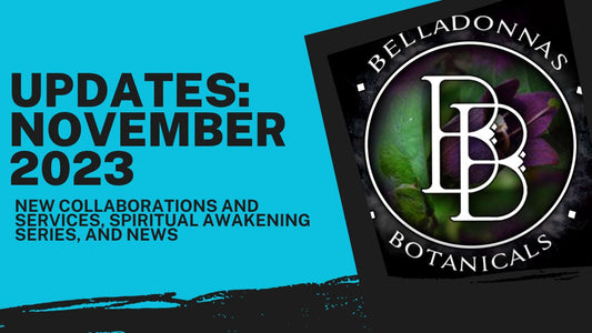 BB Updates for November 2023: New Collaborations, Services, Spiritual Awakening Series, and News