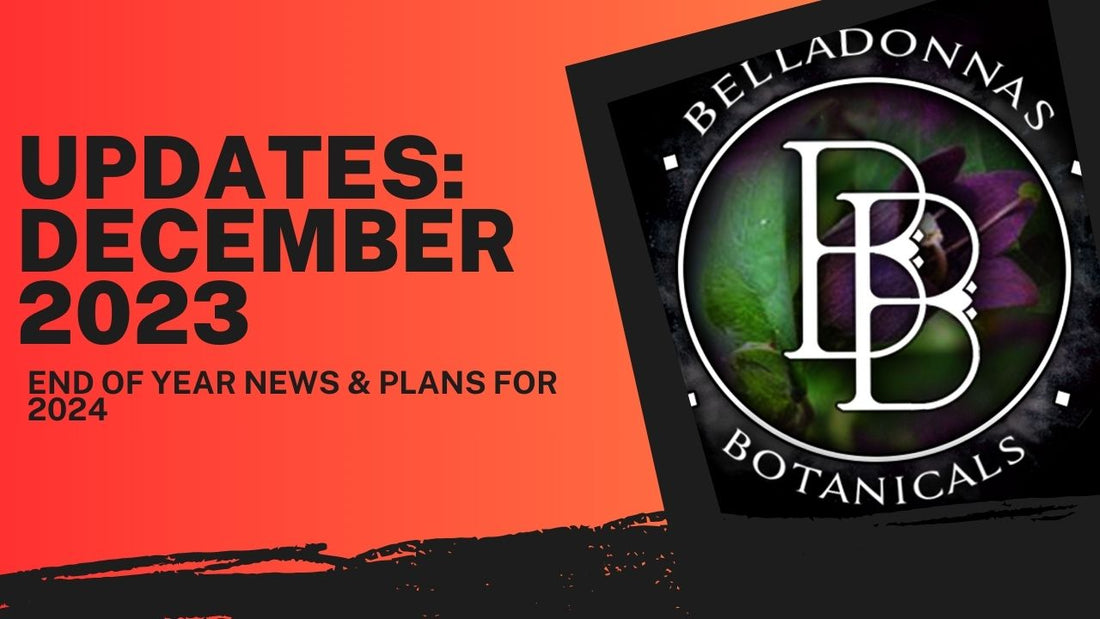 BB Updates for December 2023: End of Year News & Plans for 2024