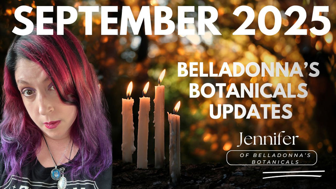 BB Updates: September 2025: More Extra Spicy Updates