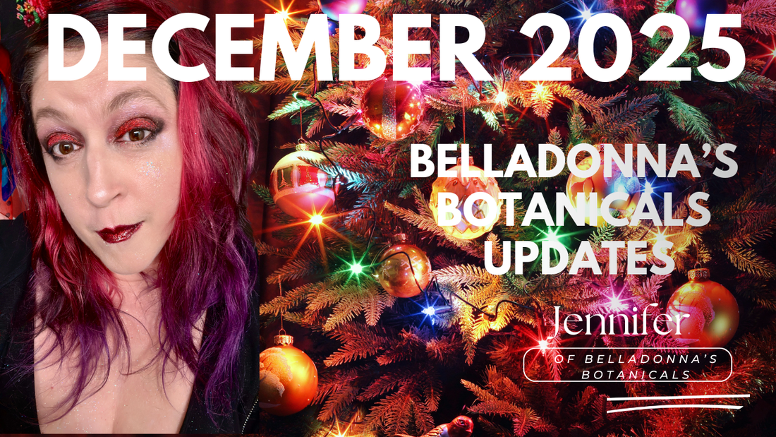 BB Updates December 2025: End of Year Wrap Up and New Products