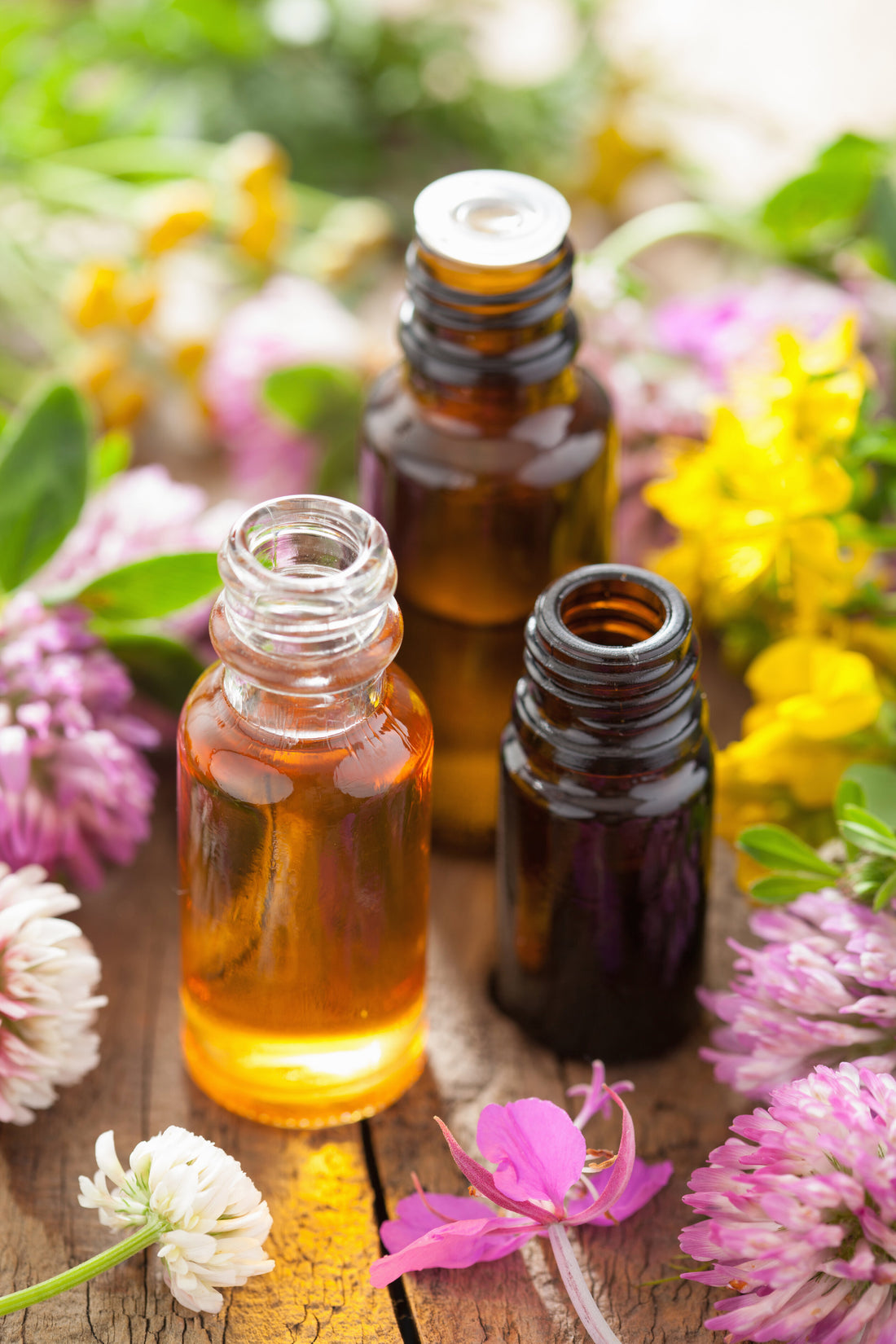 Essential Oil "Grades" and How to Buy Essential Oils
