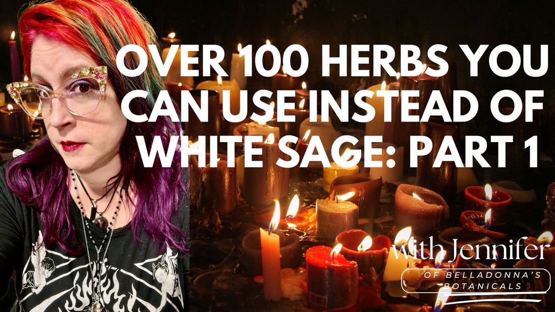 Over 100 Herbs You Can Use Instead of White Sage: Part 1