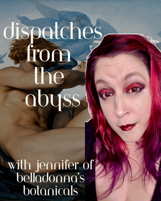 Dispatches from the Abyss 1-30 to 2-1-2026