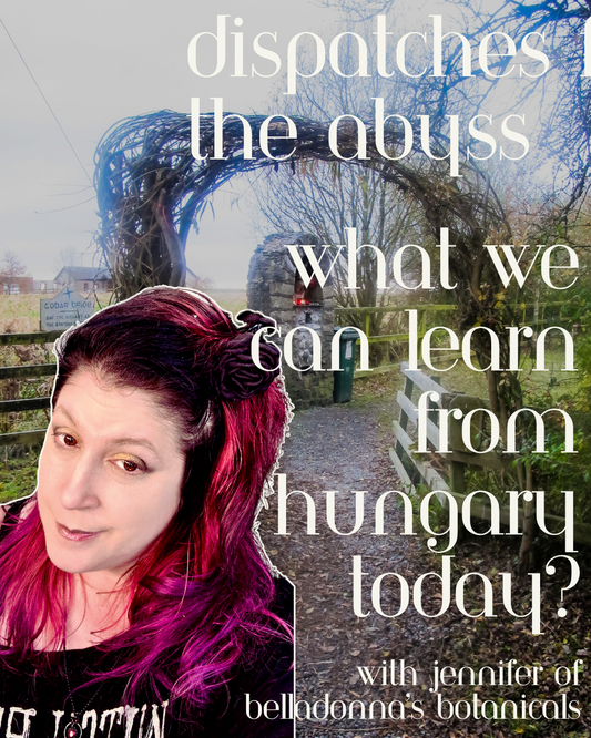 Dispatches from the Abyss: What we can learn from Hungary Today?