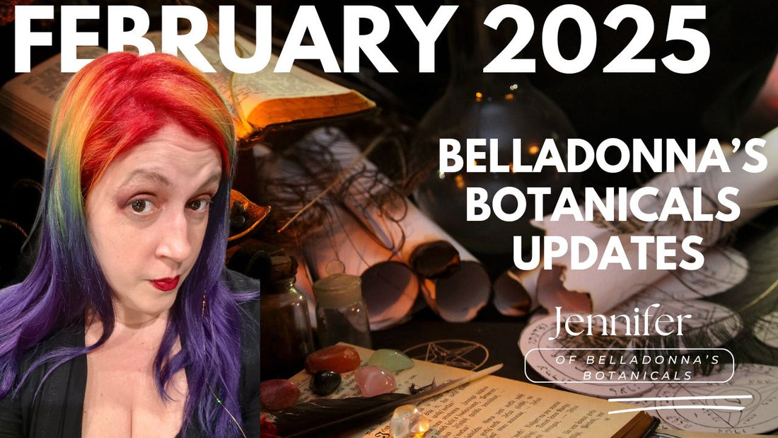 BB Updates February 2025: News & Updates, Products Back in Stock, & More