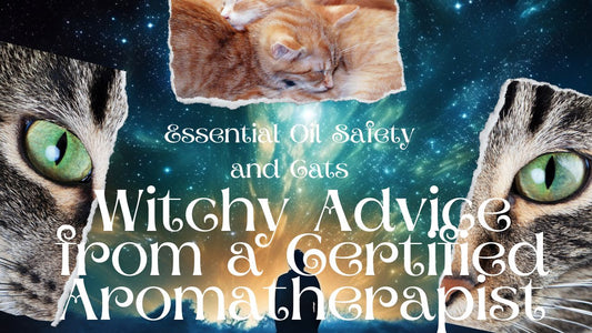 Essential Oil Safety and Cats: Witchy Advice from a Certified Aromatherapist