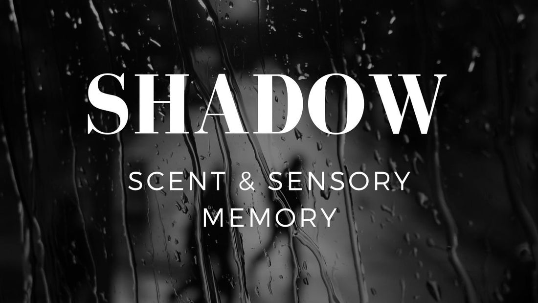 Shadow, Scent, and Sensory Memory
