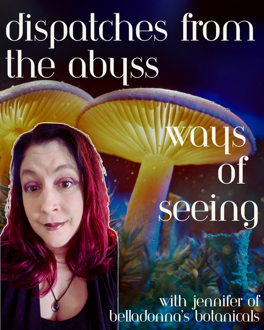 Dispatches from the Abyss: Ways of Seeing