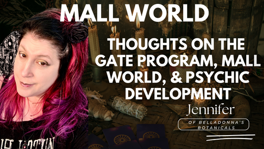 Mall World: Thoughts on the Gate Program, Mall World, & Psychic Development
