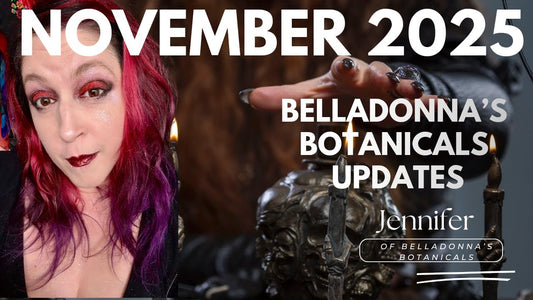 BB Updates November 2025: Black Friday Sales, Economics, Health Care, and Some Very Good News!