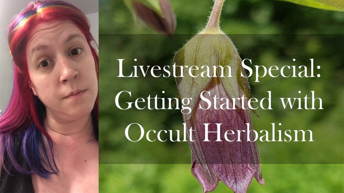 Livestream Special: Getting Started with Occult Herbalism