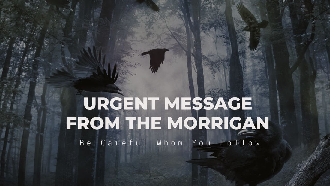 Urgent Message From The Morrigan: Be Careful Whom You Follow