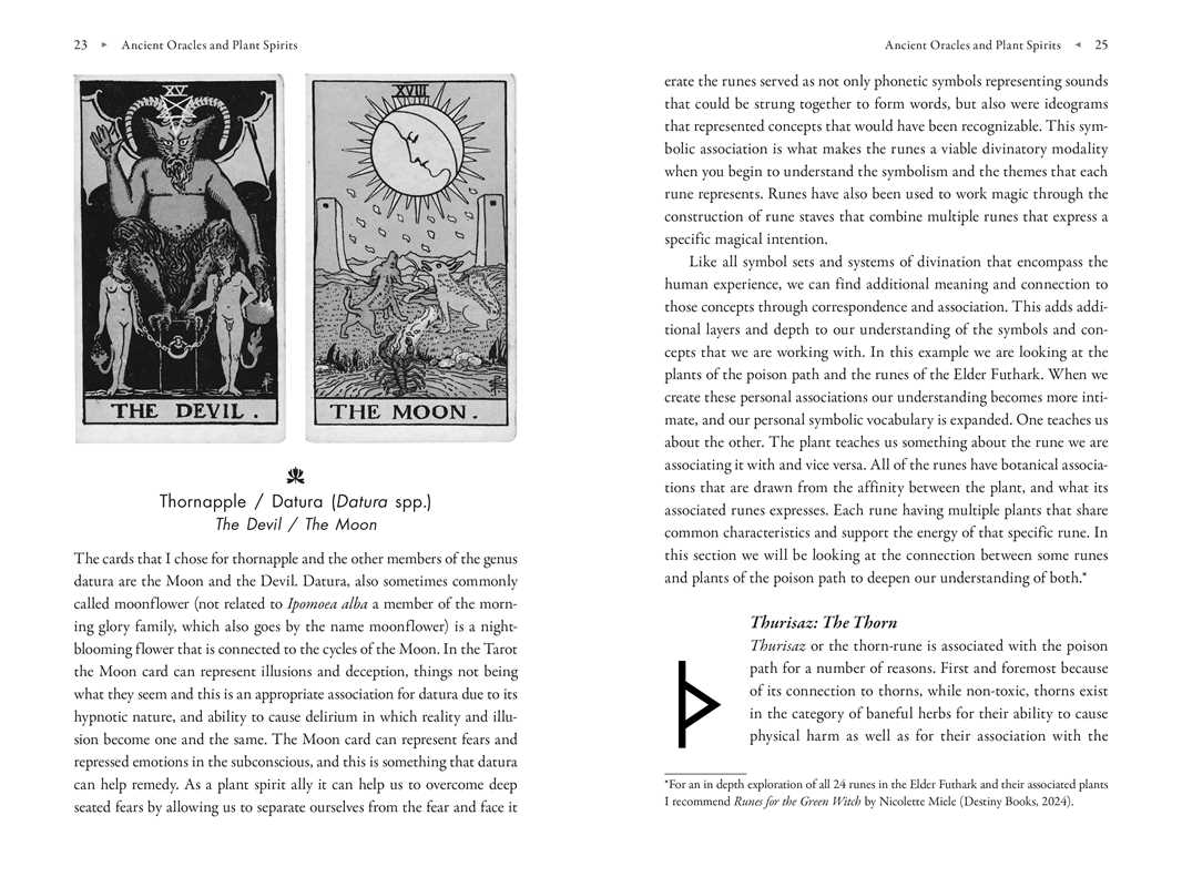 Poison Path Oracle by Coby Michael: Paperback; 224 pages / English