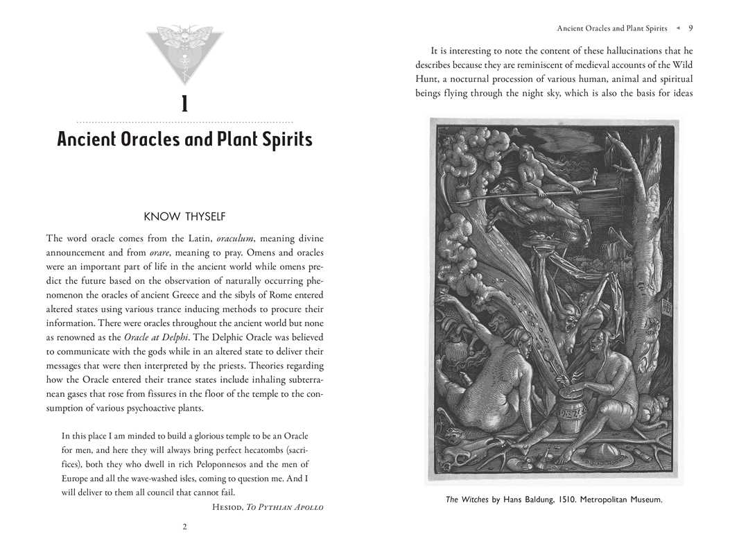 Poison Path Oracle by Coby Michael: Paperback; 224 pages / English