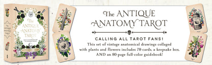 The Antique Anatomy Tarot Kit: Deck and Guidebook for the Modern Reader (used)