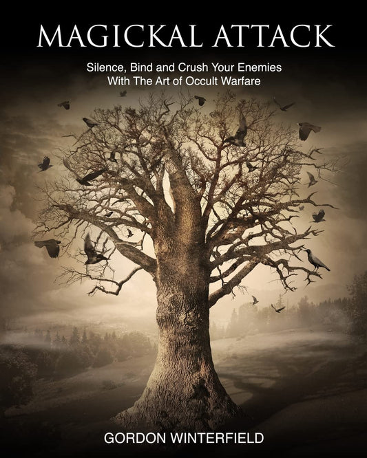 Magickal Attack: Silence, Bind and Crush Your Enemies With The Art of Occult Warfare (The Gallery of Magick) Paperback (used)