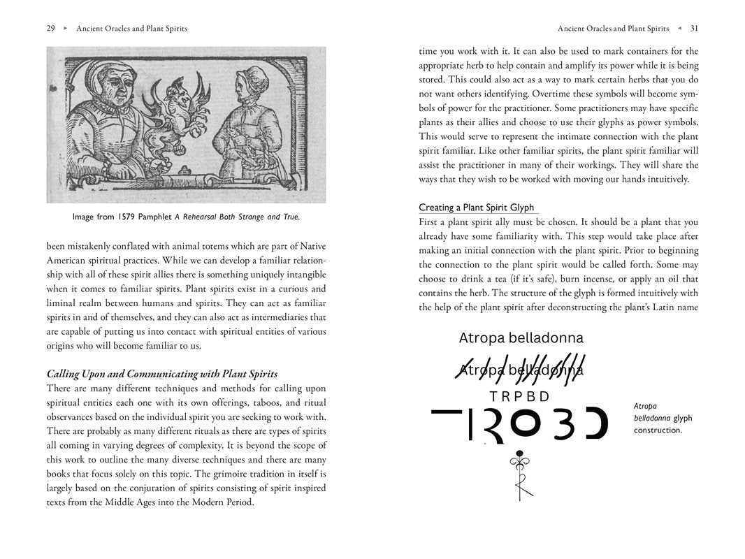 Poison Path Oracle by Coby Michael: Paperback; 224 pages / English