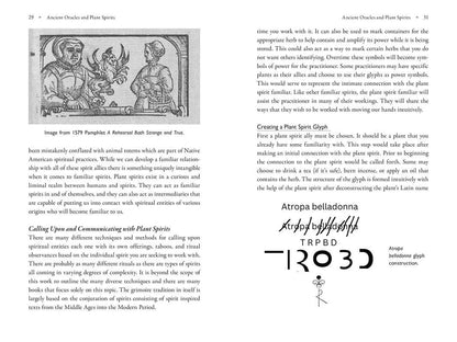Poison Path Oracle by Coby Michael: Paperback; 224 pages / English