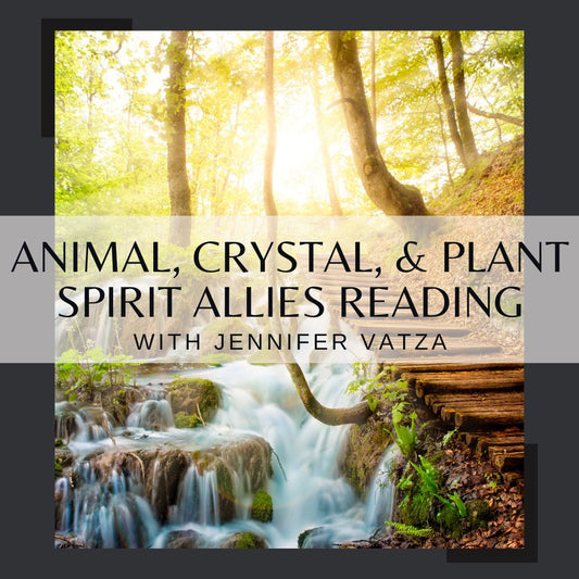 Animal, Crystal, and Plant Spirit Allies Reading