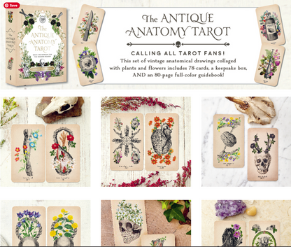 The Antique Anatomy Tarot Kit: Deck and Guidebook for the Modern Reader (used)