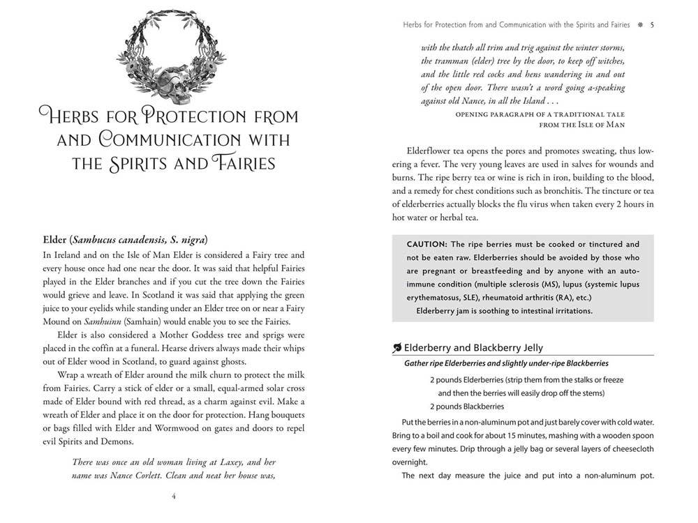 Sacred Herbs of Samhain: Plants to Contact the Spirits