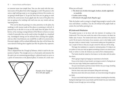 Poison Path Oracle by Coby Michael: Paperback; 224 pages / English