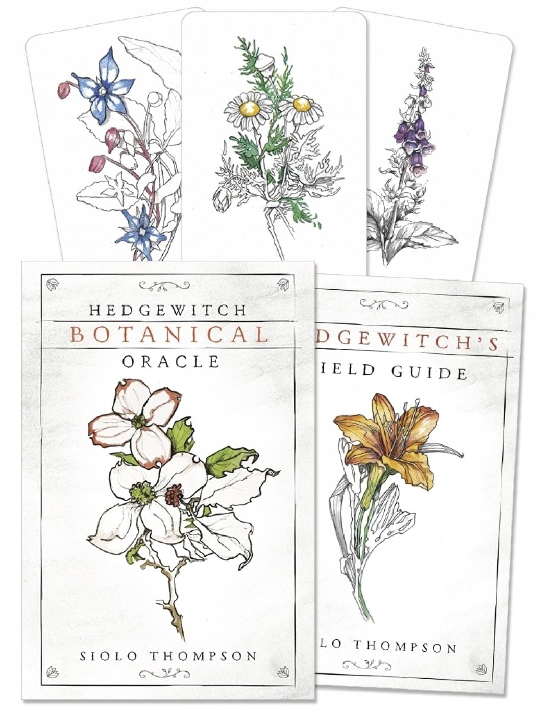 Hedgewitch Botanical Oracle (Used)